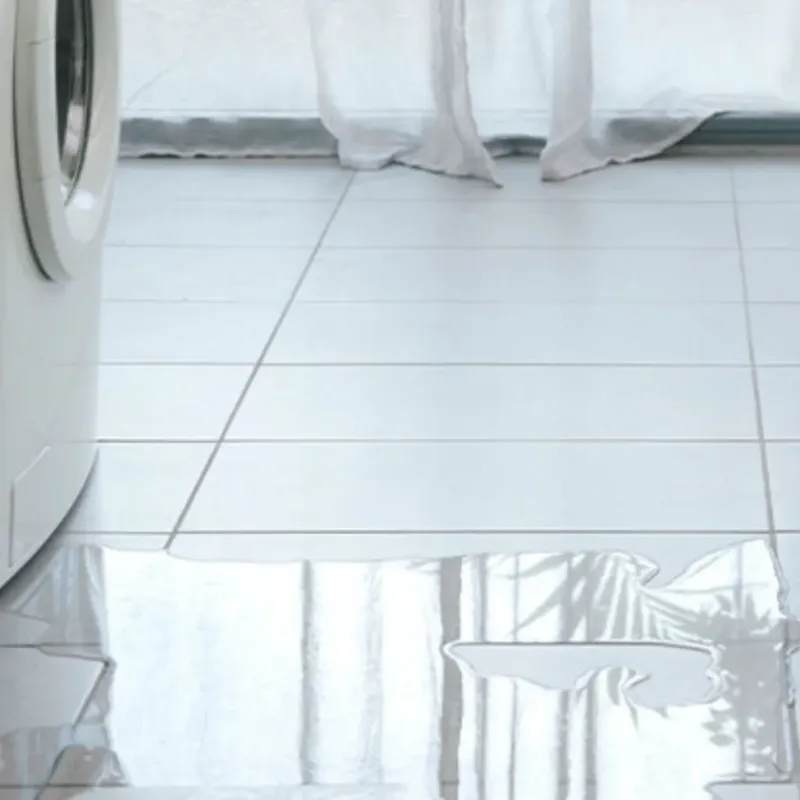 Appliance Leak Cleanup in Dixie County, FL