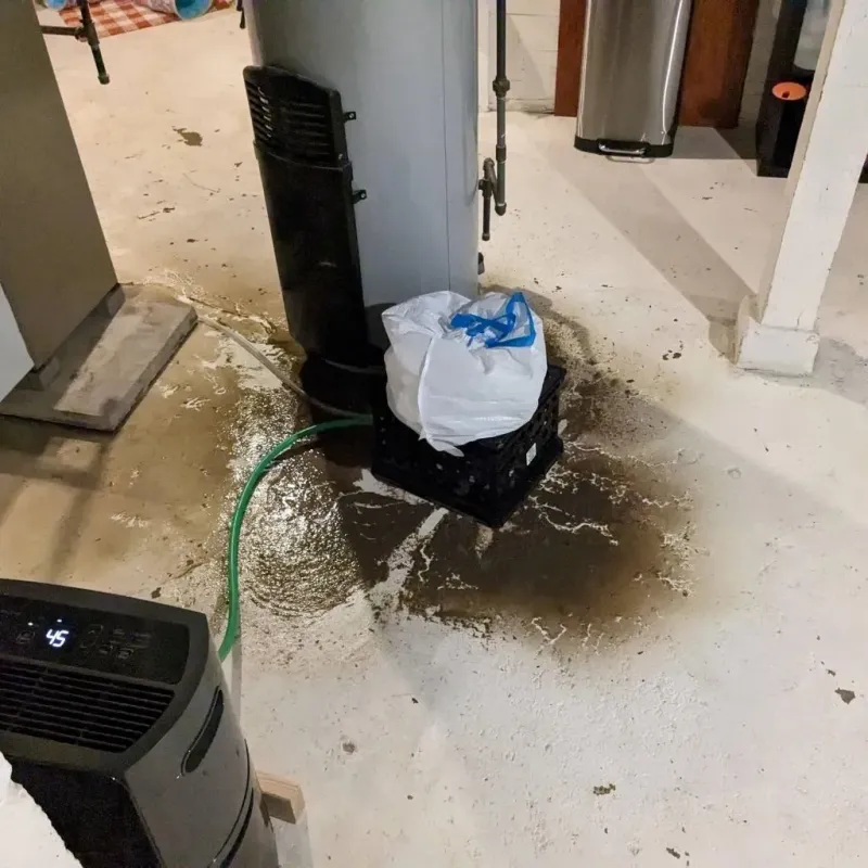 Sewage Backup Cleanup Service in Dixie County, FL